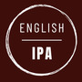 English IPA x 20 lts